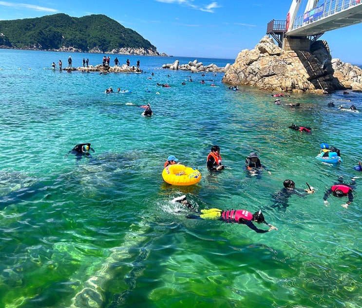  삼척 용화해수욕장 오토캠핑장 사용후기 및 스노쿨링명소 (샤워장정보)