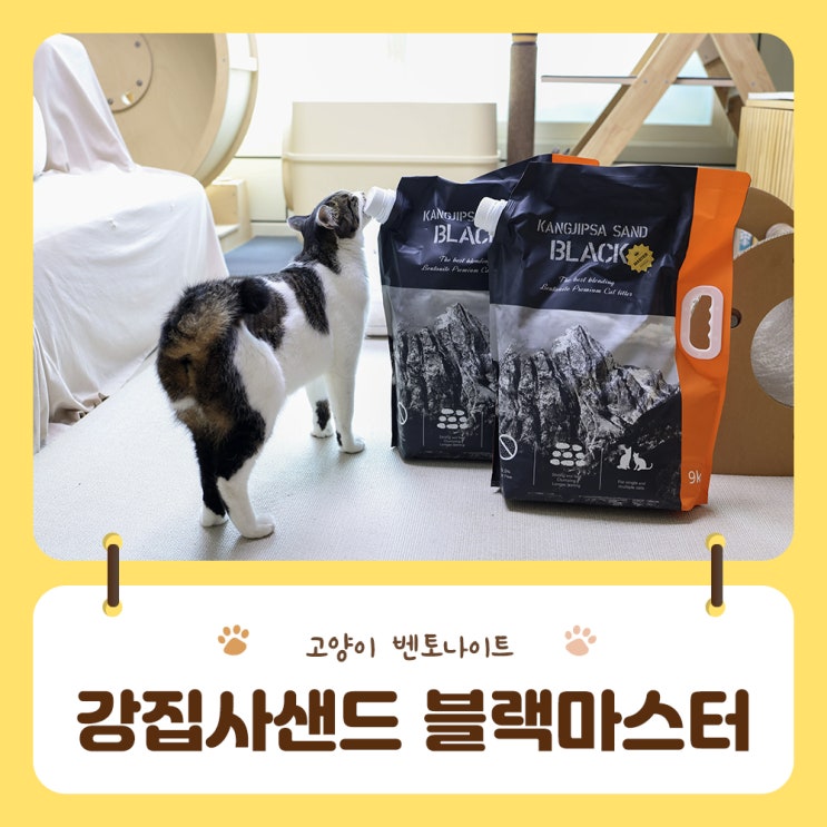  떡짐없는 깔끔함 고양이모래 벤토나이트 강집사샌드 블랙 마스터