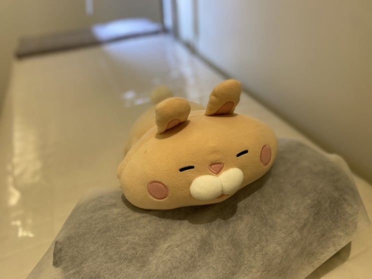  안산 고잔동 왁싱 잘하는곳 왁싱드로앙