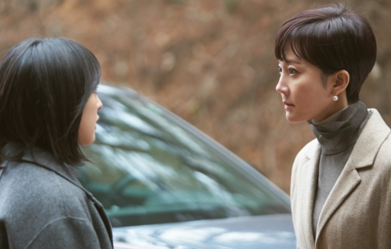 드라마 스카이캐슬 (sky 캐슬) 범인과 결말, 아쉬운 마지막회