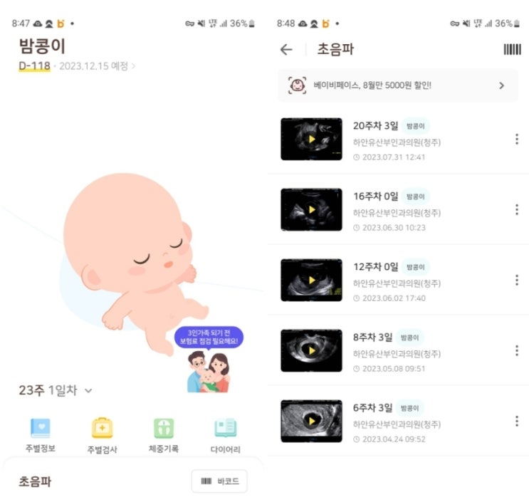  임신 초기(4~9주) 증상 디클렉틴(입덧약) 복용방법 분만예정일 계산