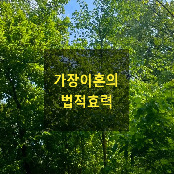  가장이혼이 이혼 무효, 취소 사유인지