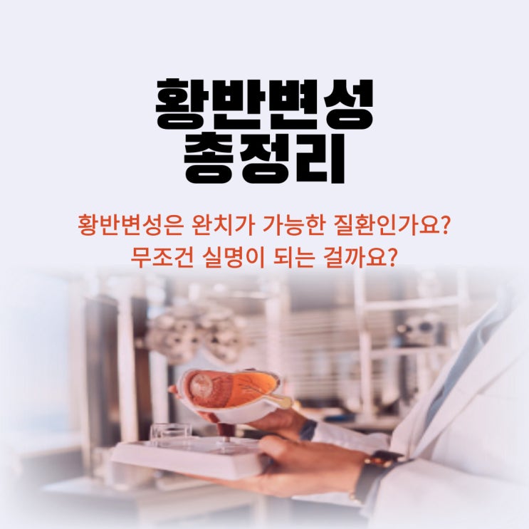  황반변성 초기 증상 원인 완치 실명 치료 예방 총정리