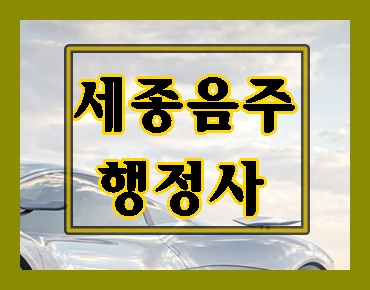  세종 음주운전 행정사 (탄원서 작성 포함)