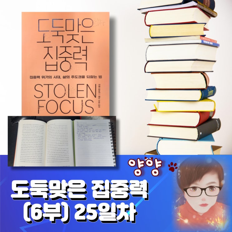  도둑맞은 집중력(6부) 25일차
