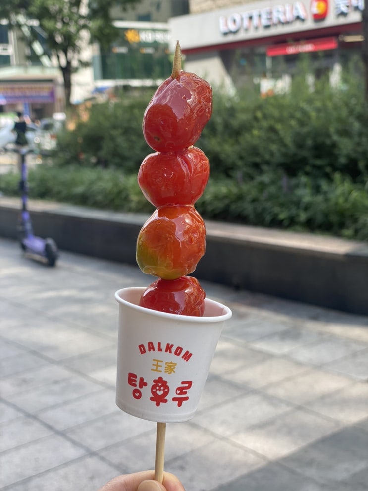  화정역 왕가탕후루 스테비아토망고 디저트