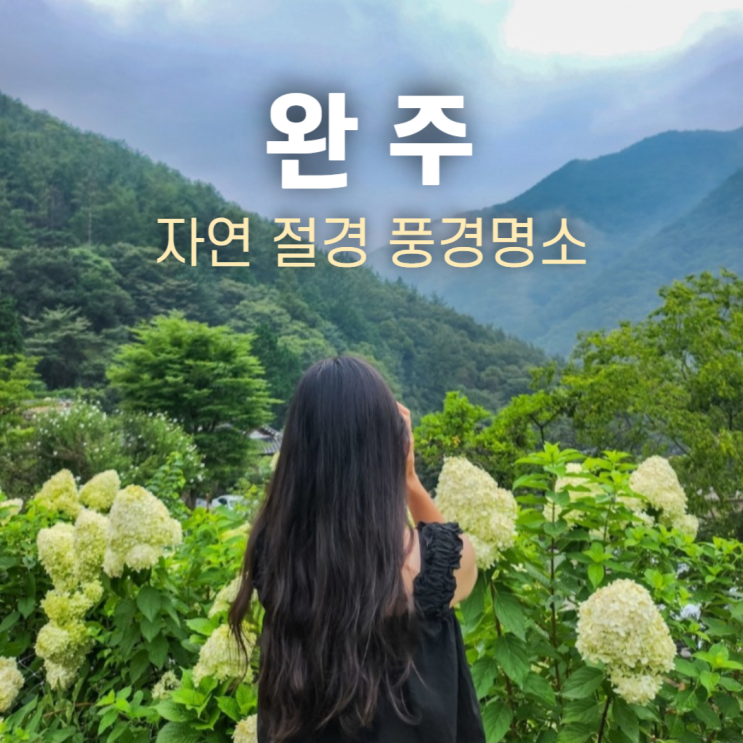  완주 여행 두베카페 위치 운영 시간