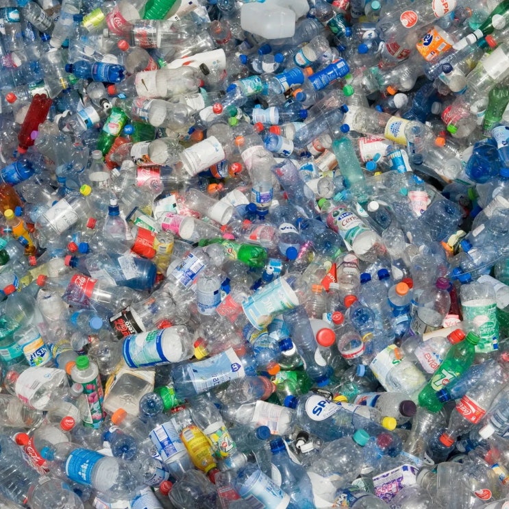 플라스틱의 유해성과 유해물질