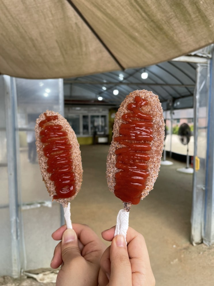  양평 두물머리 핫도그! 순한맛/매운맛 연핫도그