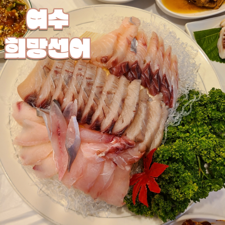  [여수 이순신광장 맛집] "희망선어" :: 중앙동 현지인이 찾는 선어회 단골집