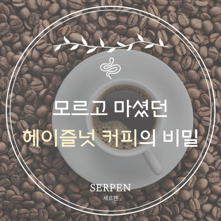  맛있는 헤이즐넛 커피의 진실