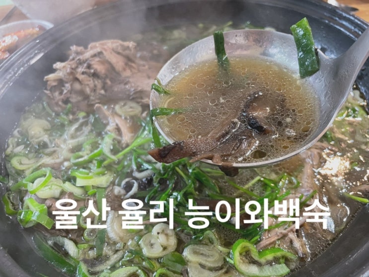 울산 율리 맛집 능이와 백숙 문수산 직영점
