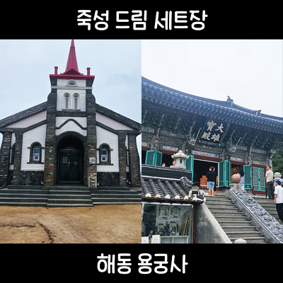  [부산 여행] 부산 기장ㅣ기장 여행ㅣ여행지 추천ㅣ해동 용궁사ㅣ죽성 성당ㅣ죽성 드림세트장ㅣ영화 촬영지
