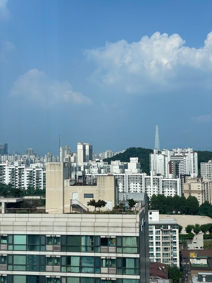  힐튼가든인 서울 패밀리룸 후기 3인용 객실로 고고 !