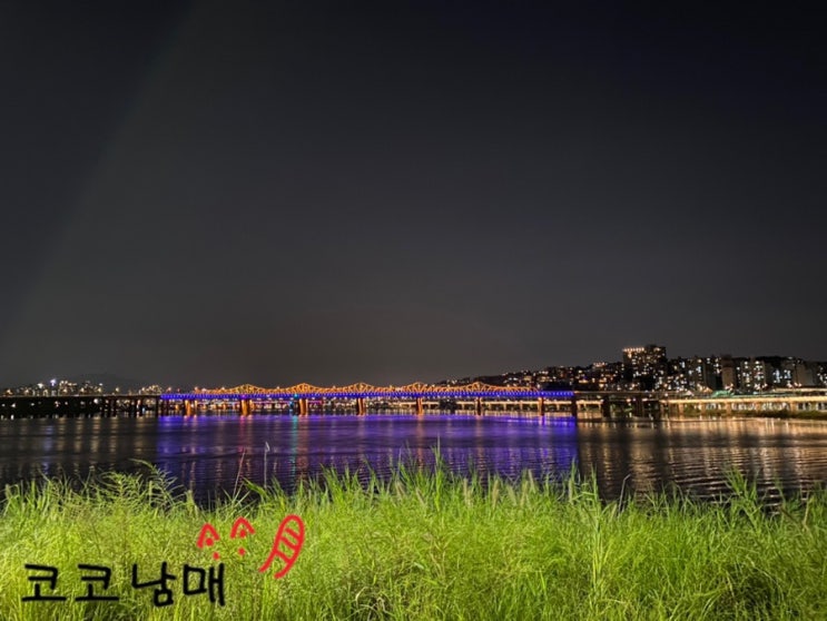  씨앗이 궁금한 고양이