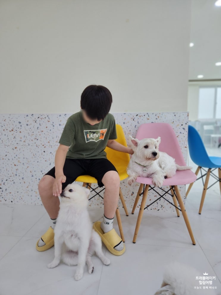  울산 애견카페 아이랑 가기 좋은 케어메이트