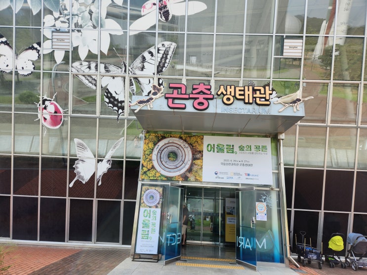  국립과천과학관- 6살 아들과 함께 2탄(곤충생태관,1층 투어)