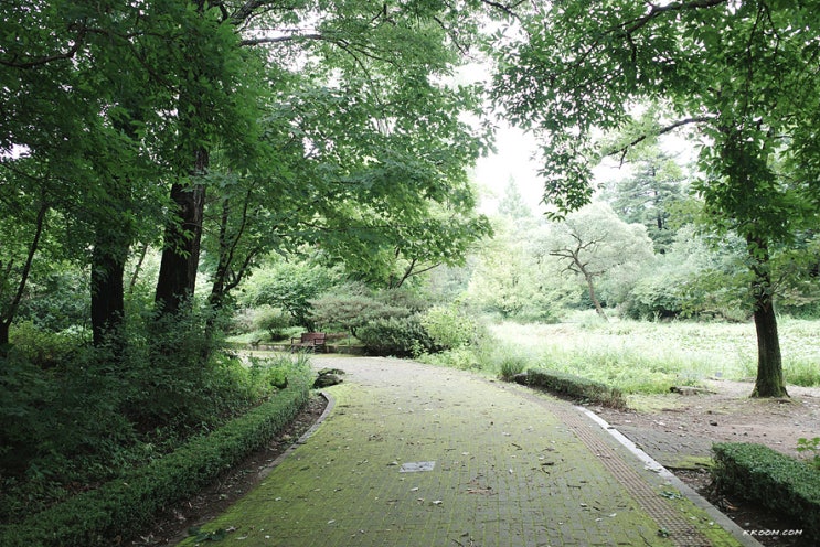 포천 국립수목원 - 예약, 광릉수목원, 포천 가볼만한곳 포천 국립수목원 - 예약, 광릉수목원, 포천 가볼만한곳