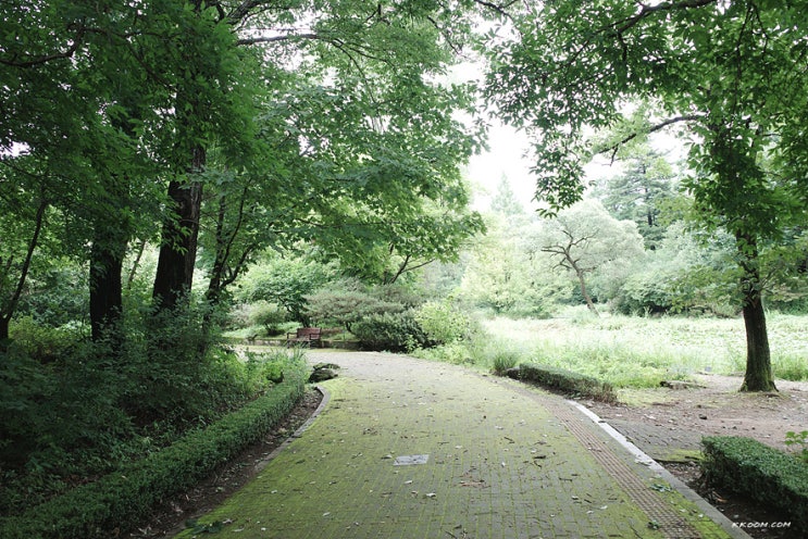 포천 국립수목원 - 예약, 광릉수목원, 포천 가볼만한곳