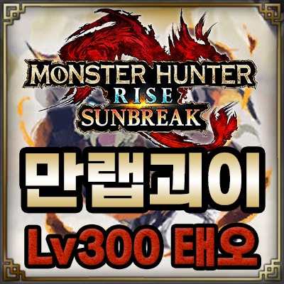  [몬스터 헌터 썬브레이크] 괴이 레벨 300 클리어