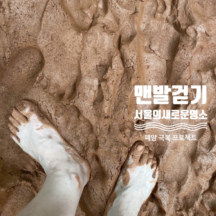  서대문 안산 황토길에서 맨발걷기 2일차