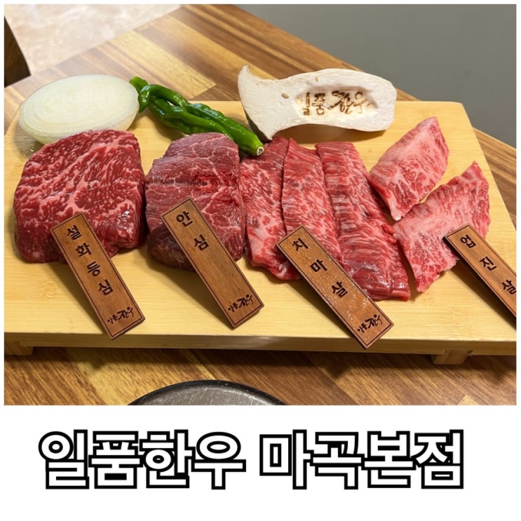  마곡나루 고기집 소고기 한우 맛집 일품한우 마곡본점