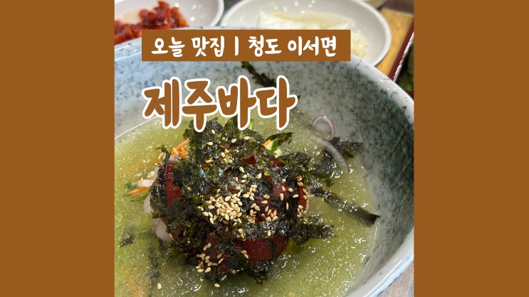 청도물회 맛집 제주바다 녹차로 만든 물회냉면 별미