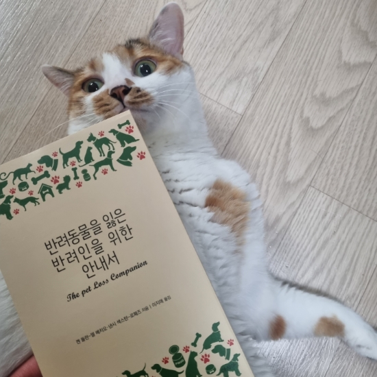 펫로스증후군 반려동물을 잃은 반려인을 위한 안내서 에세이  위로 책 추천