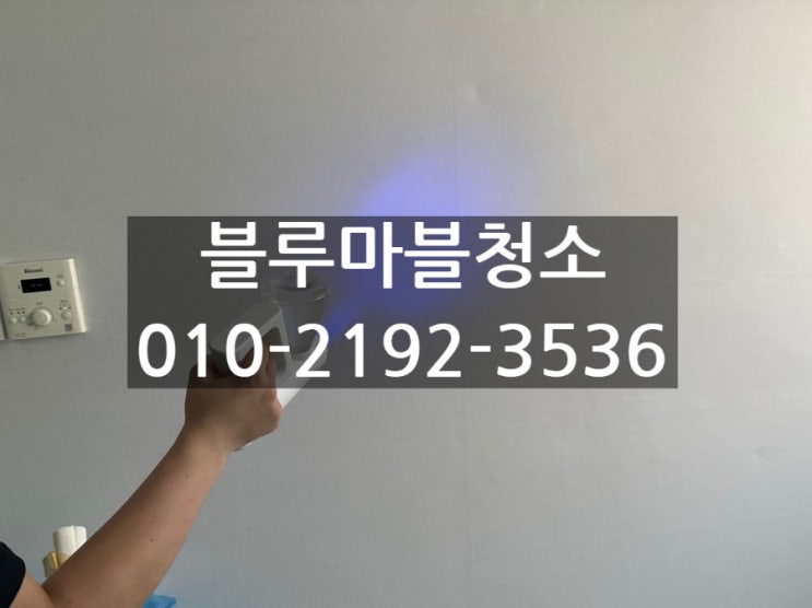  강아지 고양이 냄새제거 퇴실청소 꼭 해야 하는 이유