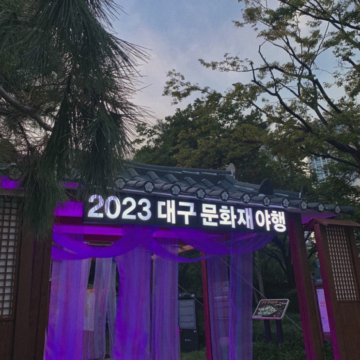  체크인 챌린지 40