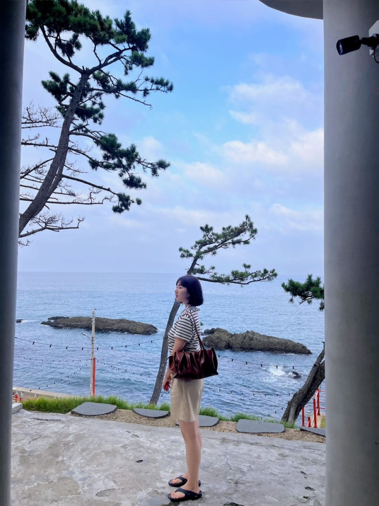  황주부 일상 들여다보기 