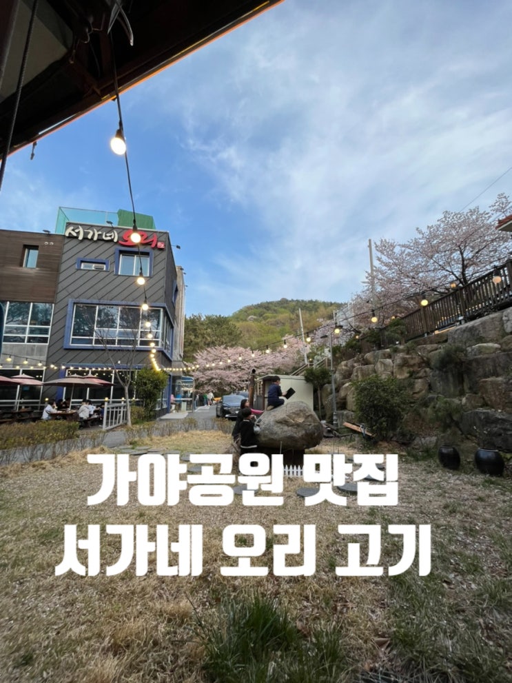  부산 가야공원 오리고기 맛집 서가네 내돈내산 족구 가능