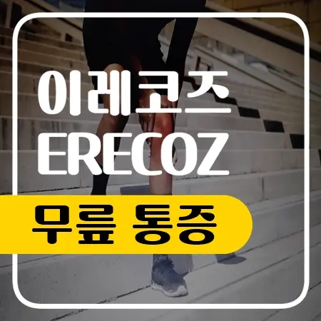  무릎통증 원인 정리해봤습니다