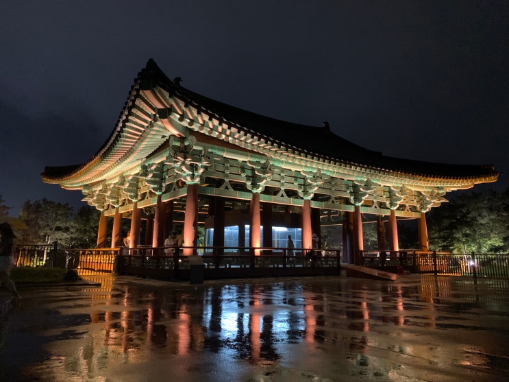  경북 경주 여행지 추천 밤에 아름다운 관광지 고만보의 이곳 저곳