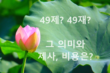 장례식 후 지내는 대표적인 제사 49재(49제) - 그 의미와 제사, 비용 등에 대해 알아볼까요? 장례식 후 지내는 대표적인 제사 49재(49제) - 그 의미와 제사, 비용 등에 대해 알아볼까요?
