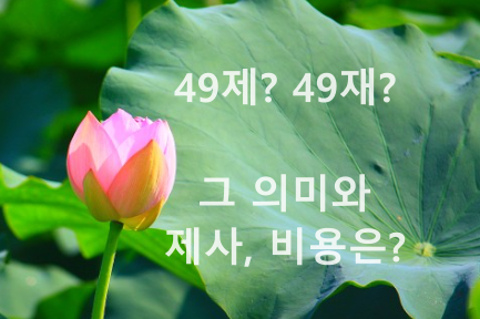 장례식 후 지내는 대표적인 제사 49재(49제) - 그 의미와 제사, 비용 등에 대해 알아볼까요?