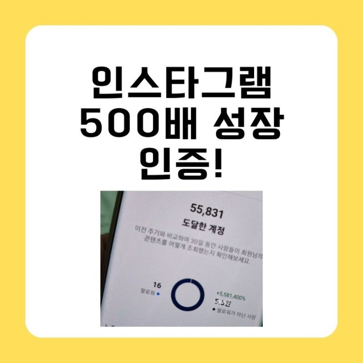  인스타 팔로우 적어도 도달 5000배 상승!