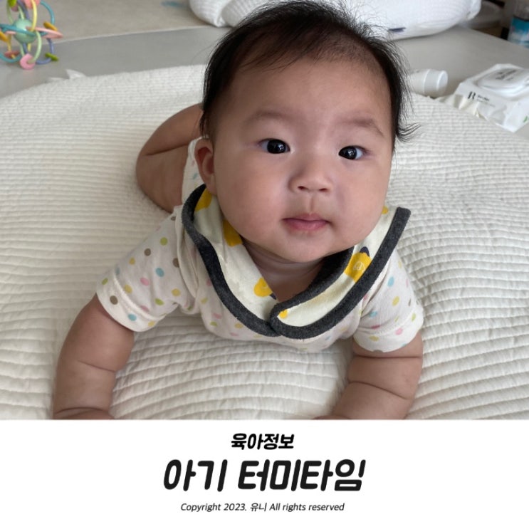  신생아 터미타임 뜻 시기 자세 방법 거북이 장난감 정보