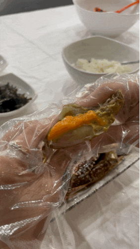  [강릉 안목해변 맛집] 안스 게장 송정점