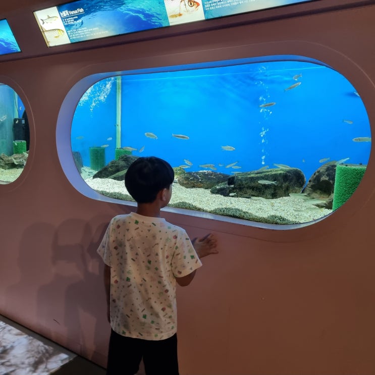  아이와 목포 여행 코스 실내 관광지 목포 자연사박물관