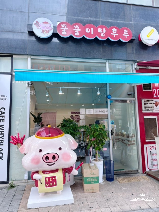  [탕후루 맛집 - 시흥 배곧 꿀꿀이탕후루] 아이들에게 핫한 탕후루 맛집! 다양한 과일 탕후루 맛볼수 있는곳!