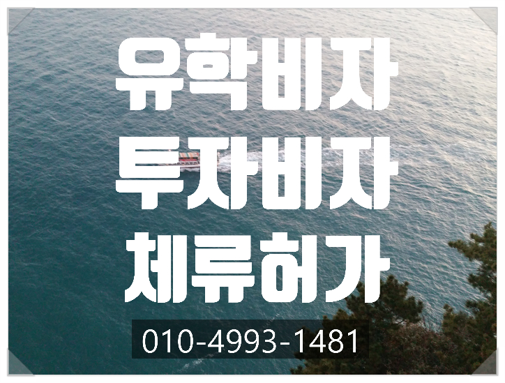  D2유학 비자에서 D8 기업투자비자변경허가 사례 - 중국.베트남.인도.태국.미국.일본.홍콩. 대만
