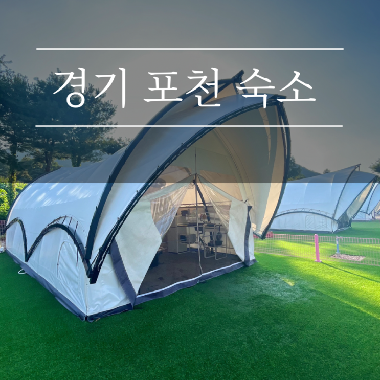  포천 애견동반 숙소 핫도그342 글램핑 카라반 경기도 강아지 수영장 숙소 후기