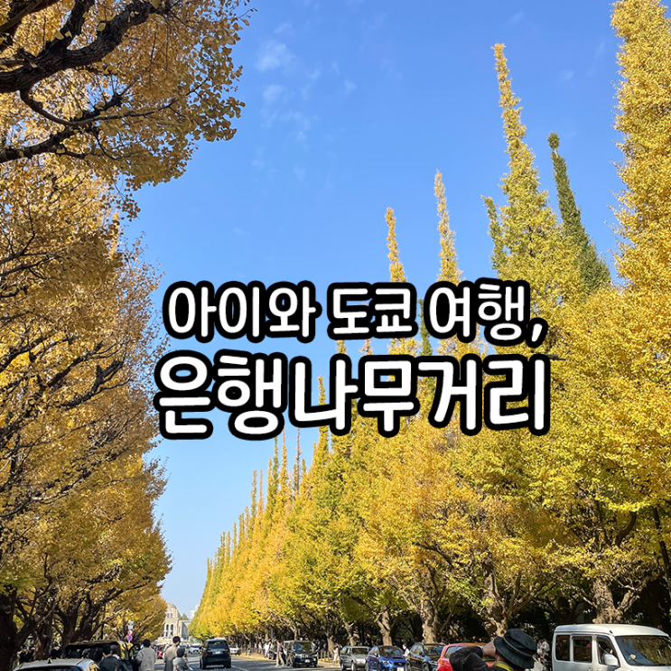 11월 도쿄의 관광 명소는 메이지 신궁 외원 은행나무거리(가이엔마에 은행나무 거리)