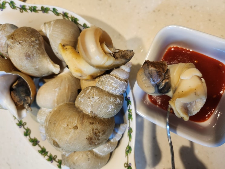 신선한 신선하루 백골뱅이,백고동 삶는방법 / 맛후기 신선한 신선하루 백골뱅이,백고동 삶는방법 / 맛후기