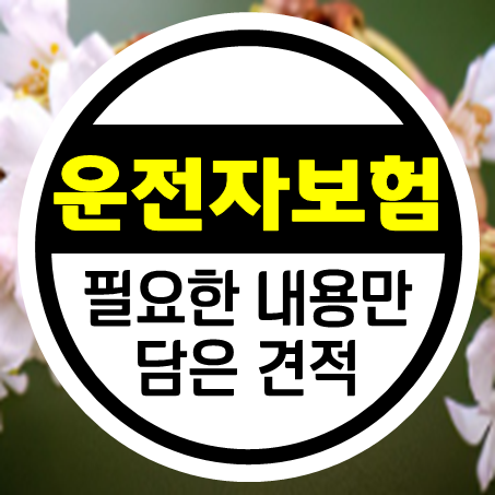  초보, 베테랑 구분 없이 운전자보험 가입 및 적합한 운전자보험 견적을 고려해볼 시간입니다.