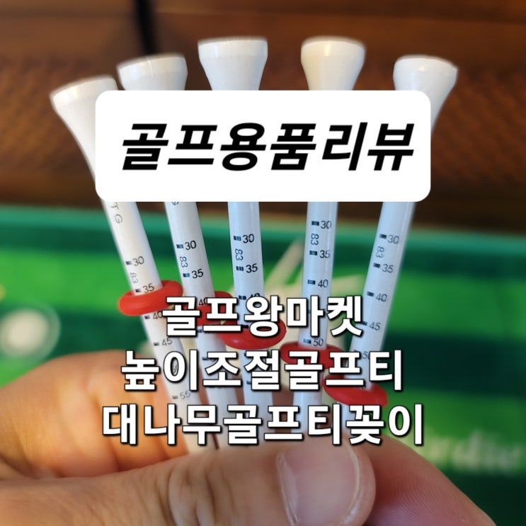 [골프용품]  골프왕마켓 높이조절골프티 대나무골프티꽂이 필드라운드 사용후기