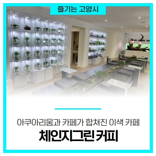 아쿠아리움과 카페가 합쳐진 고양시 이색 카페, <체인지그린 커피> 아쿠아리움과 카페가 합쳐진 고양시 이색 카페, <체인지그린 커피>