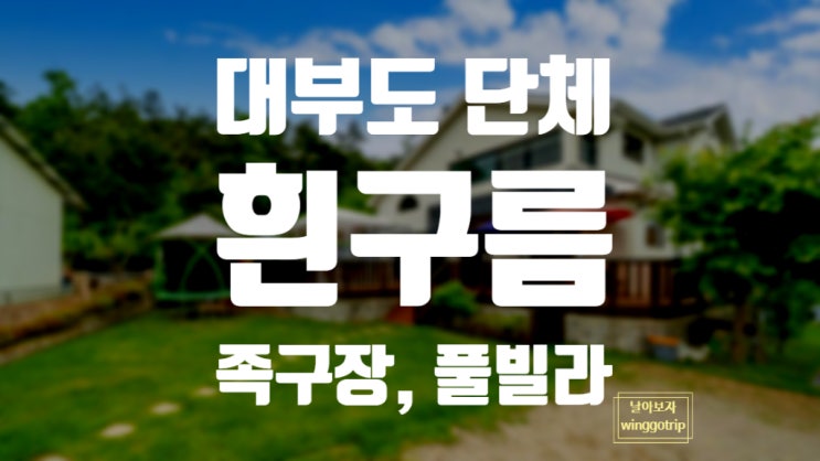  대부도 대가족 풀빌라 족구장 있는 독채 흰구름 펜션 후기.