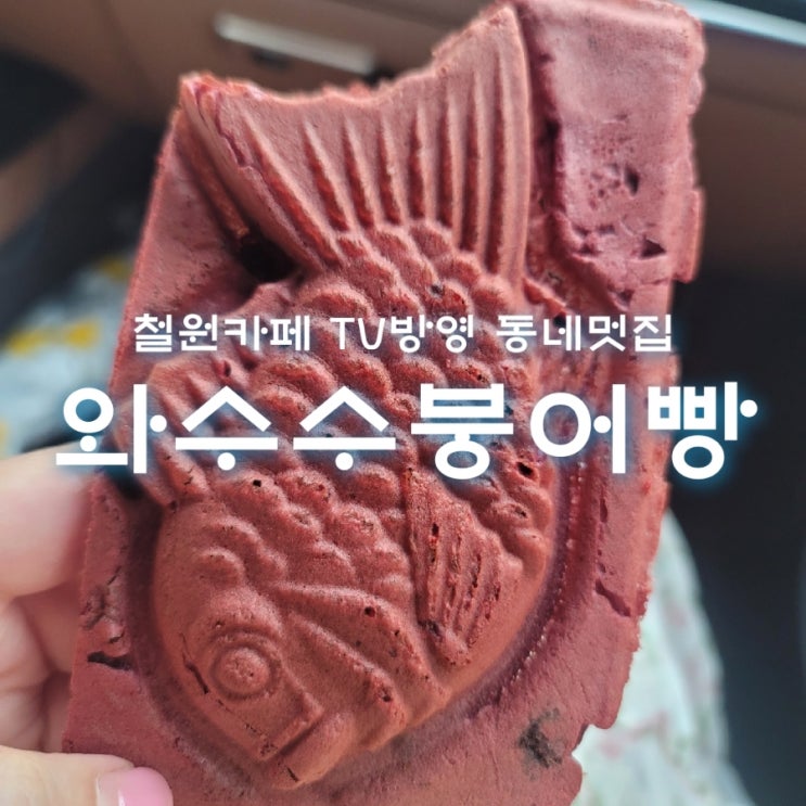 손대면핫플 동네멋집 SBS 방영 철원카페 와수수붕어빵